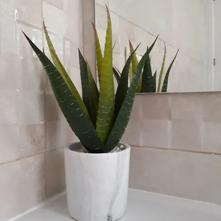 شقة Nidos Sea Pretty&beach- La Carihuela توريمولينوس