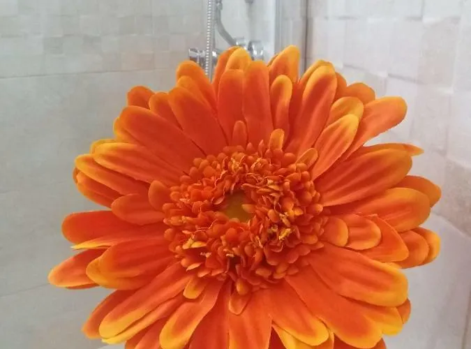 Nidos Sea Pretty&beach- La Carihuela Apartamento Torremolinos