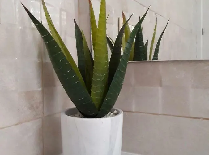 Apartment Nidos Sea Pretty&beach- La Carihuela Torremolinos